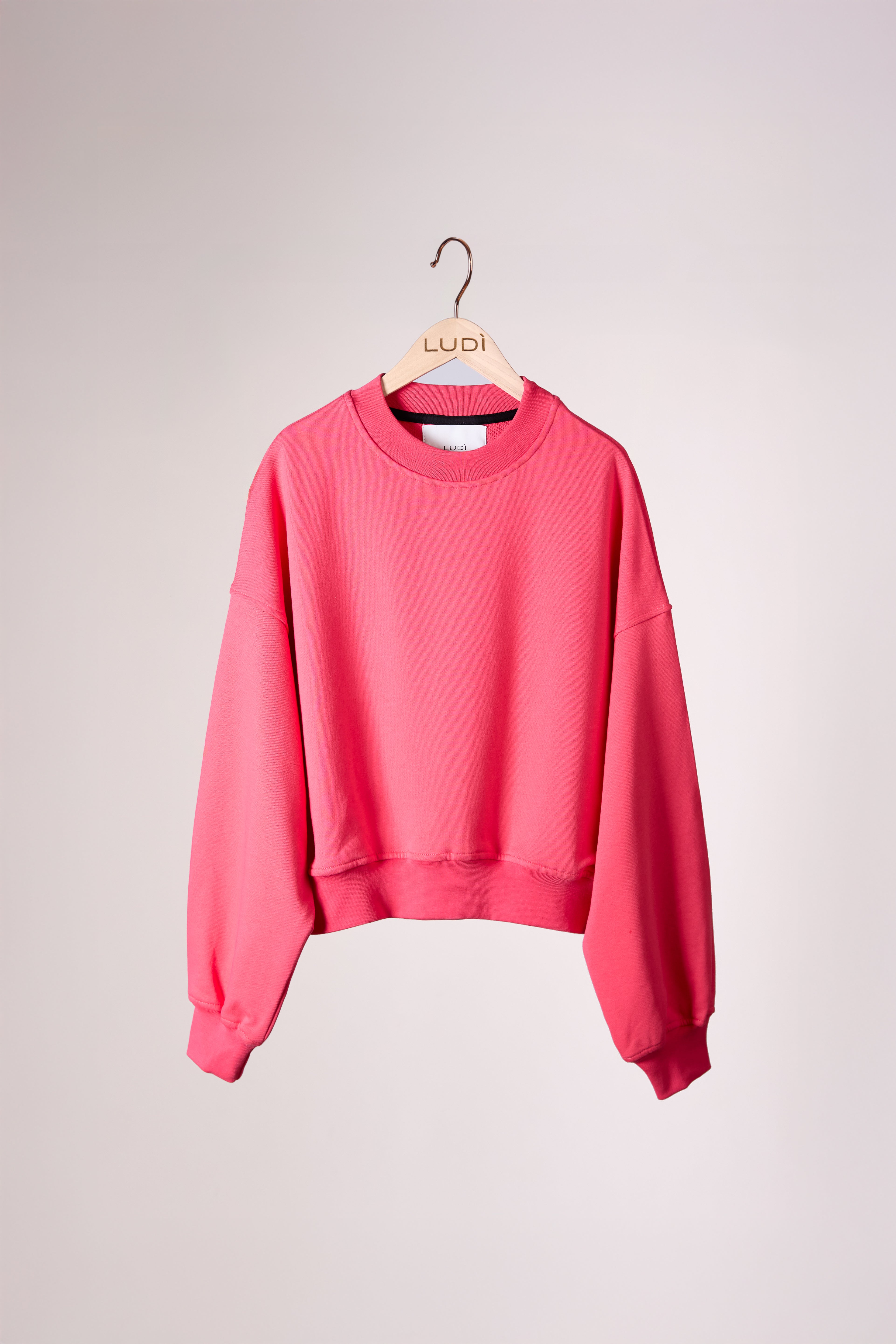 REBEL CREWNECK SWEATSHIRT – Crewneck sweatshirt